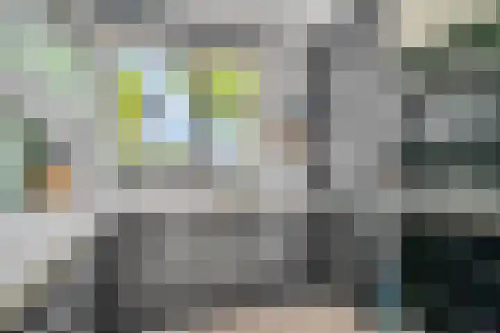 Van Neslaan 10 Ede thumbnail 9