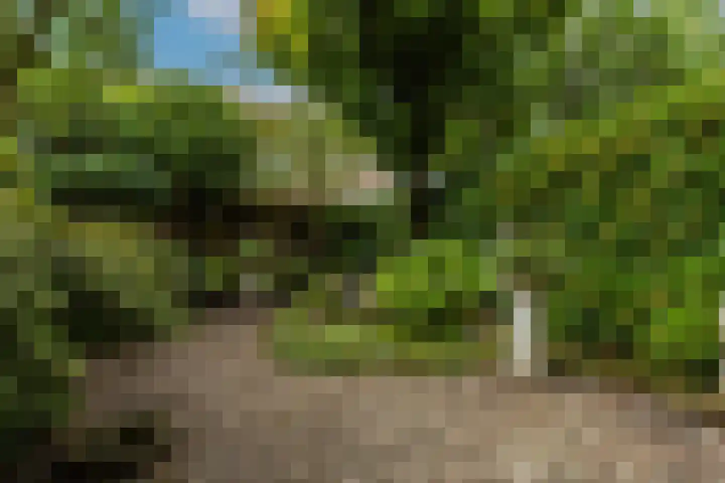 van Neslaan 5 Baarn thumbnail 10