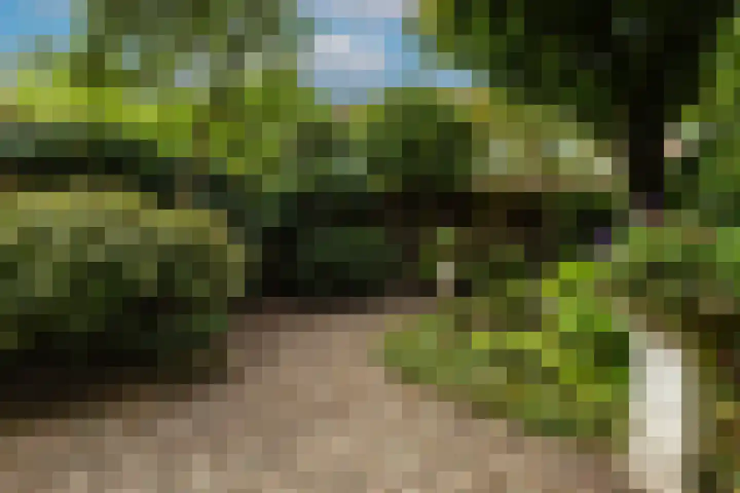 van Neslaan 5 Baarn thumbnail 11