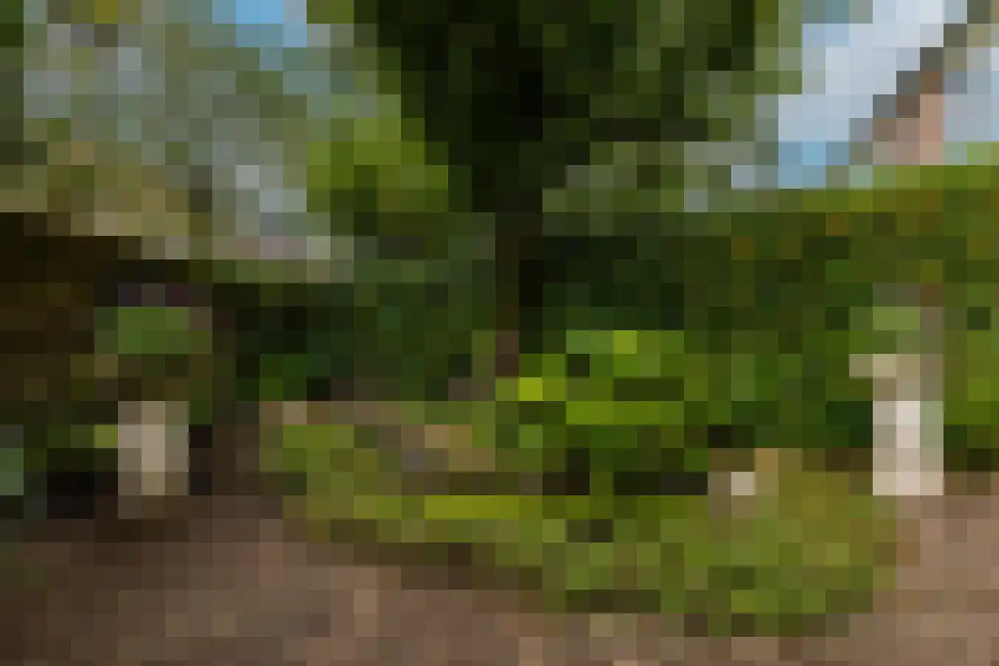 van Neslaan 5 Baarn thumbnail 12