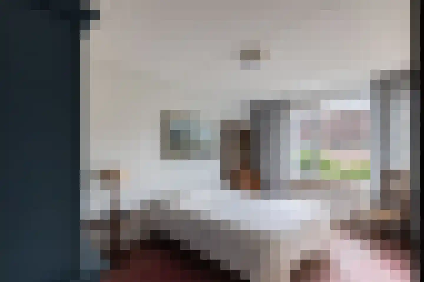van Neslaan 5 Baarn thumbnail 17