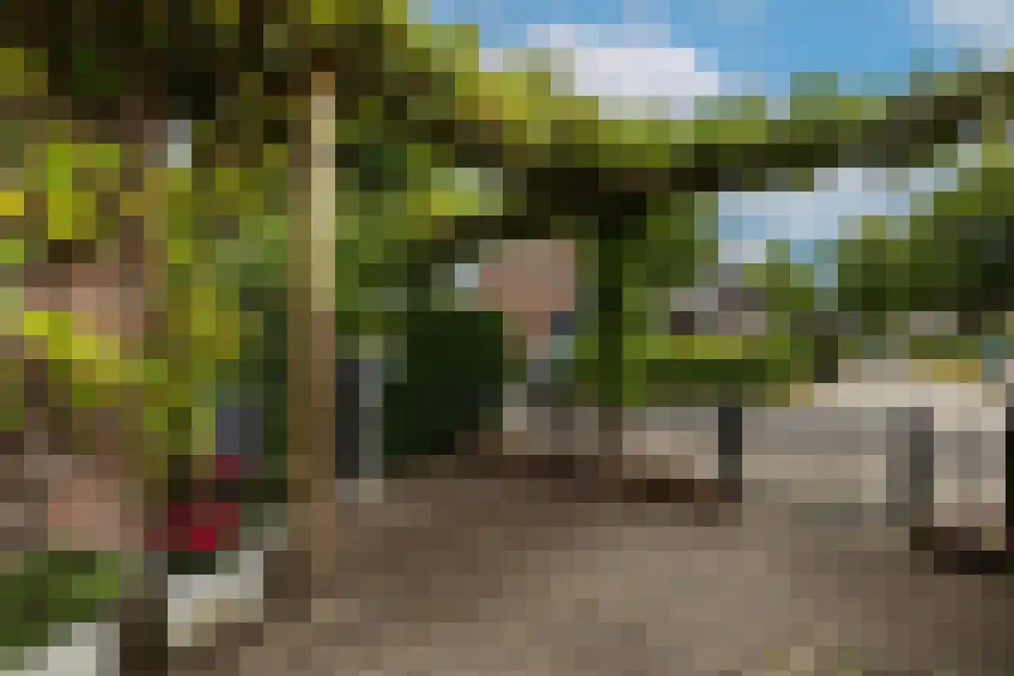 van Neslaan 5 Baarn thumbnail 28