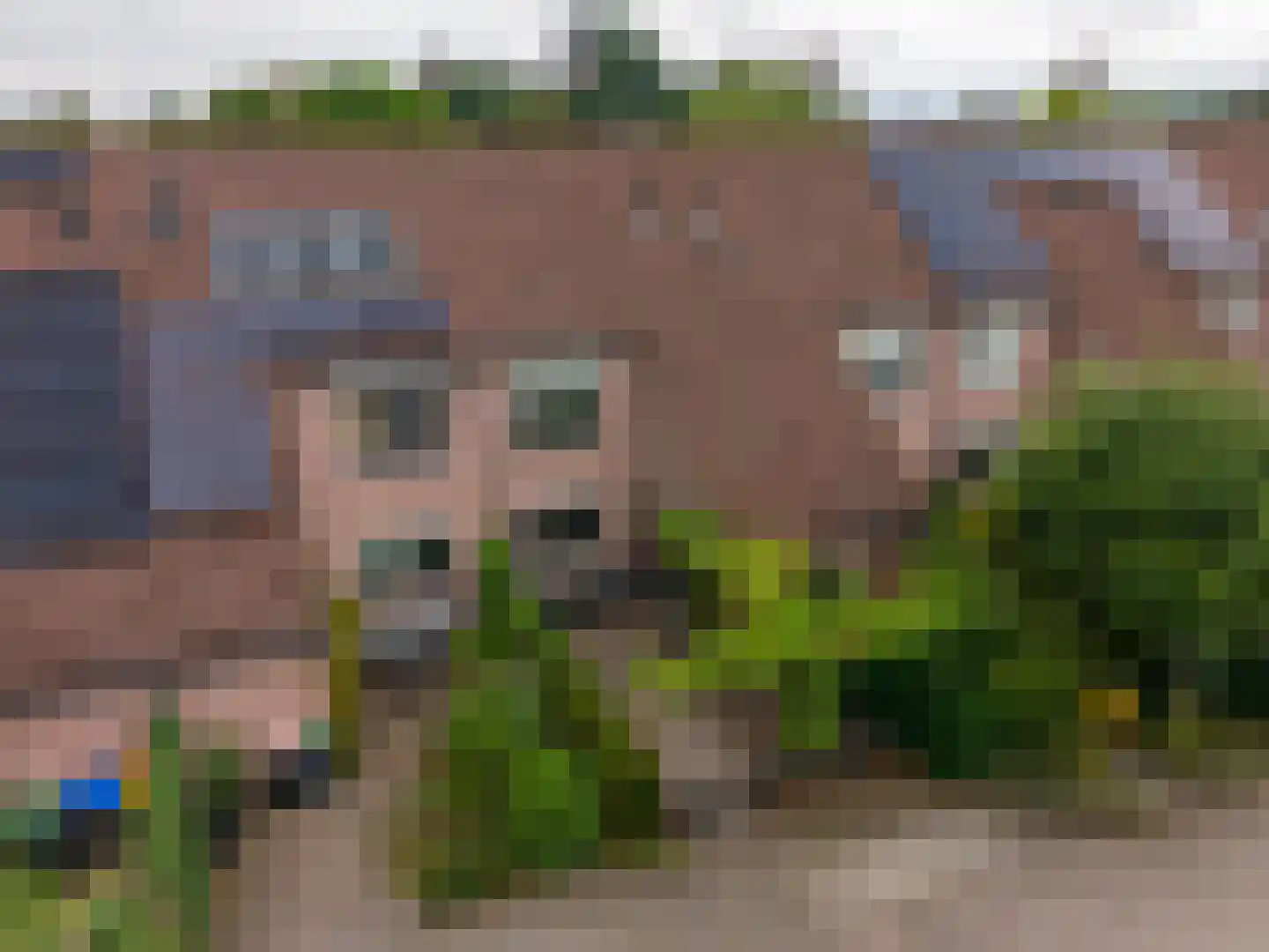 van Neslaan 5 Baarn thumbnail 30