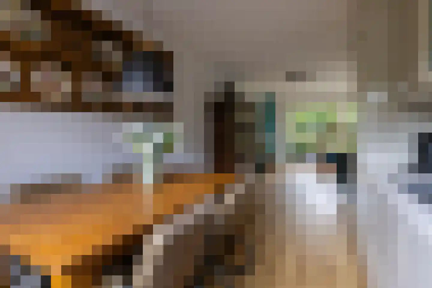 van Neslaan 5 Baarn thumbnail 8
