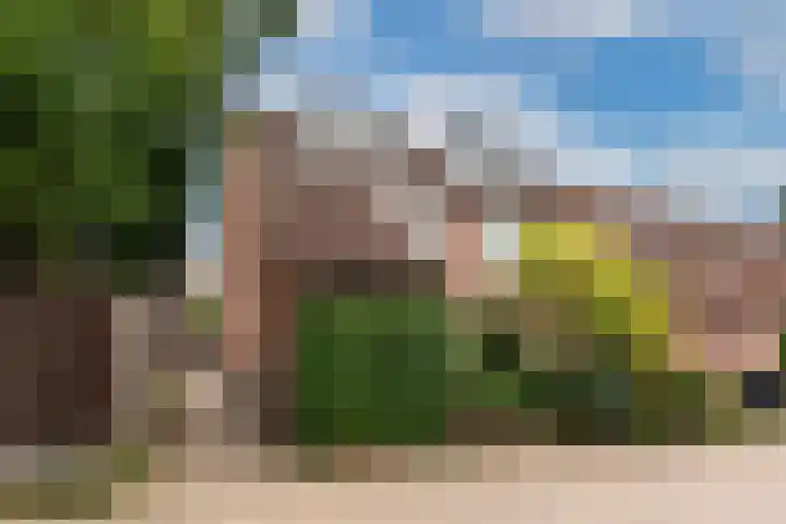 van Neslaan 53 Baarn thumbnail 36