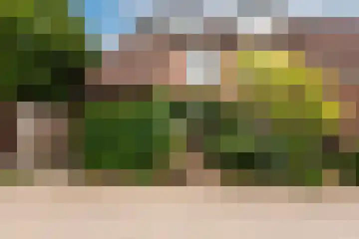 van Neslaan 53 Baarn thumbnail 37