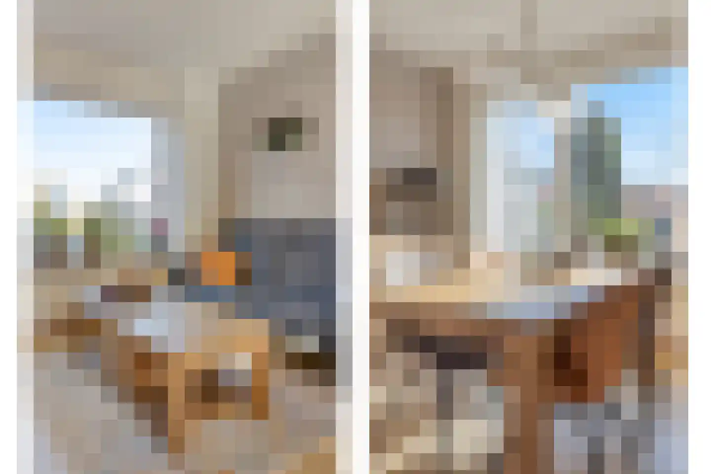 van Nesstraat 18 Dinteloord thumbnail 10