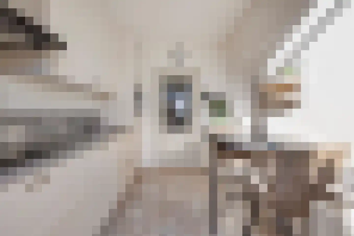 van Nesstraat 18 Dinteloord thumbnail 12