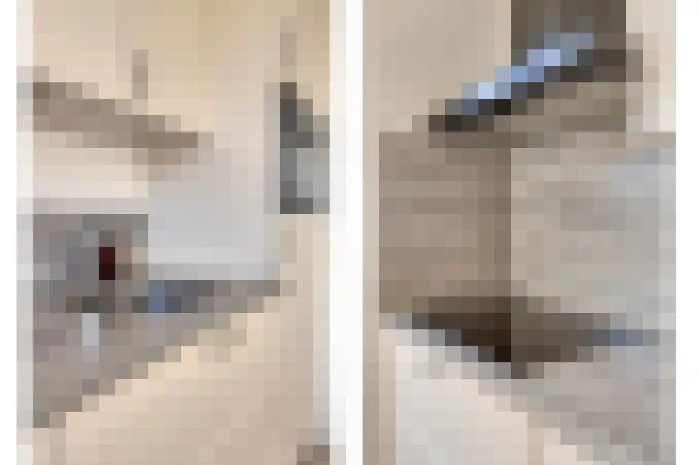 van Nesstraat 18 Dinteloord thumbnail 13
