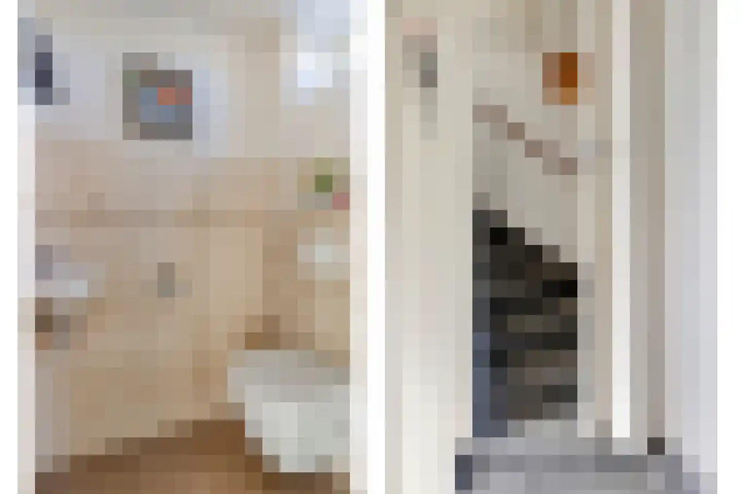 van Nesstraat 18 Dinteloord thumbnail 15