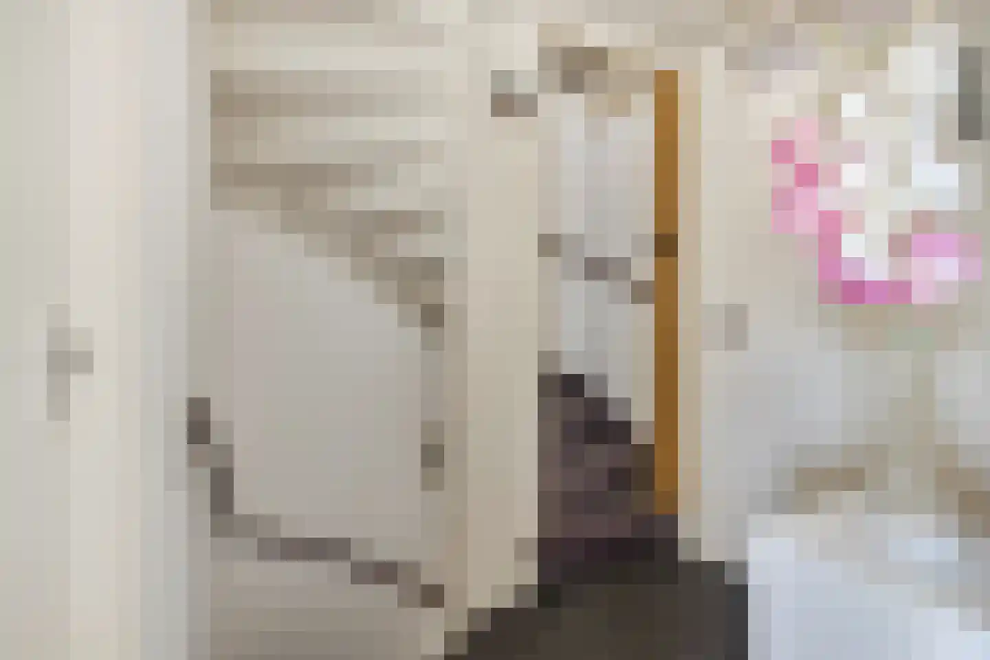 van Nesstraat 18 Dinteloord thumbnail 16