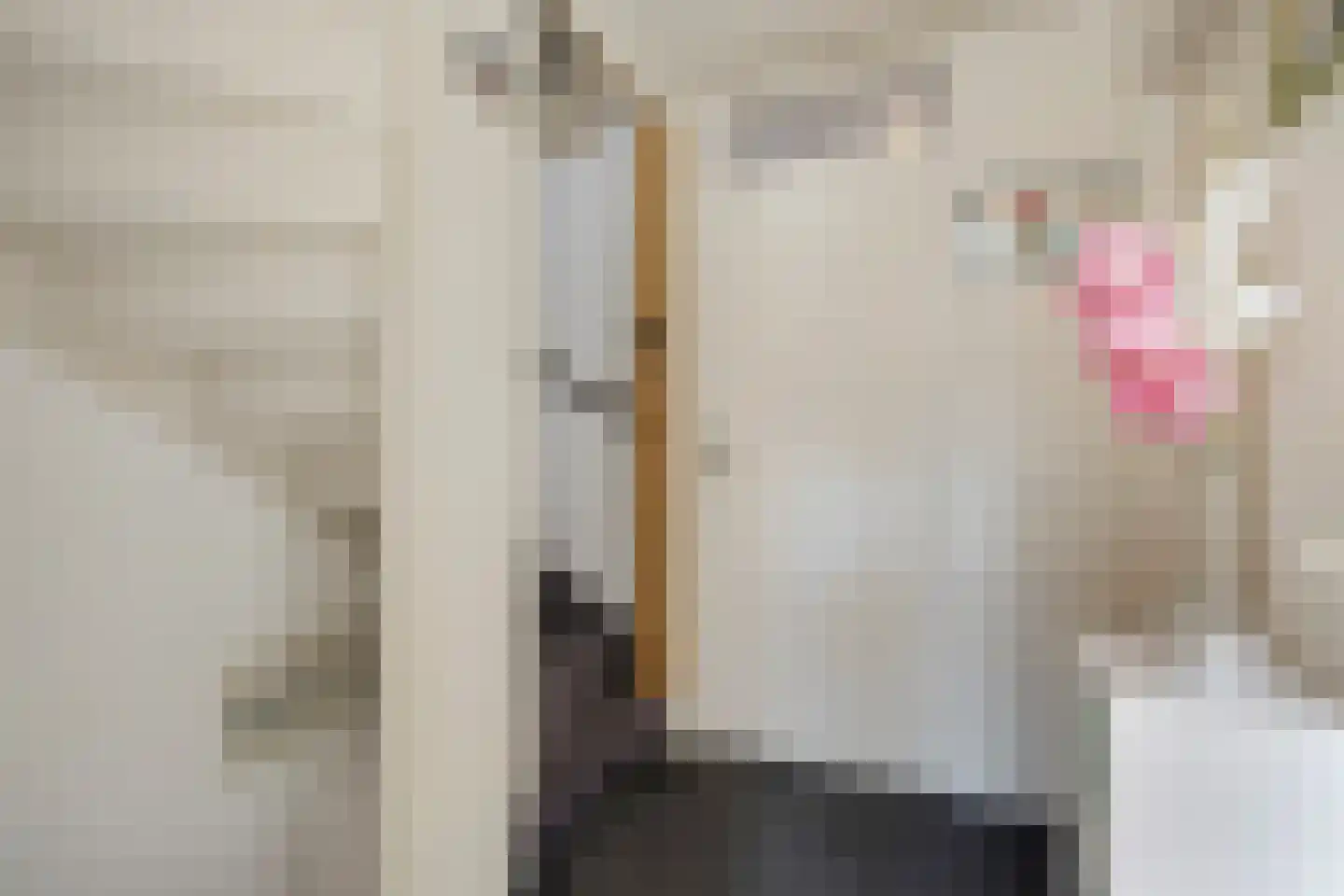 van Nesstraat 18 Dinteloord thumbnail 25