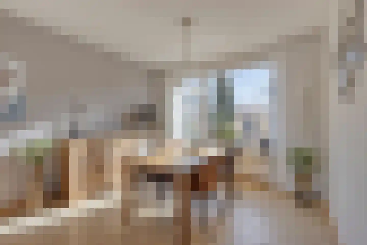 van Nesstraat 18 Dinteloord thumbnail 6