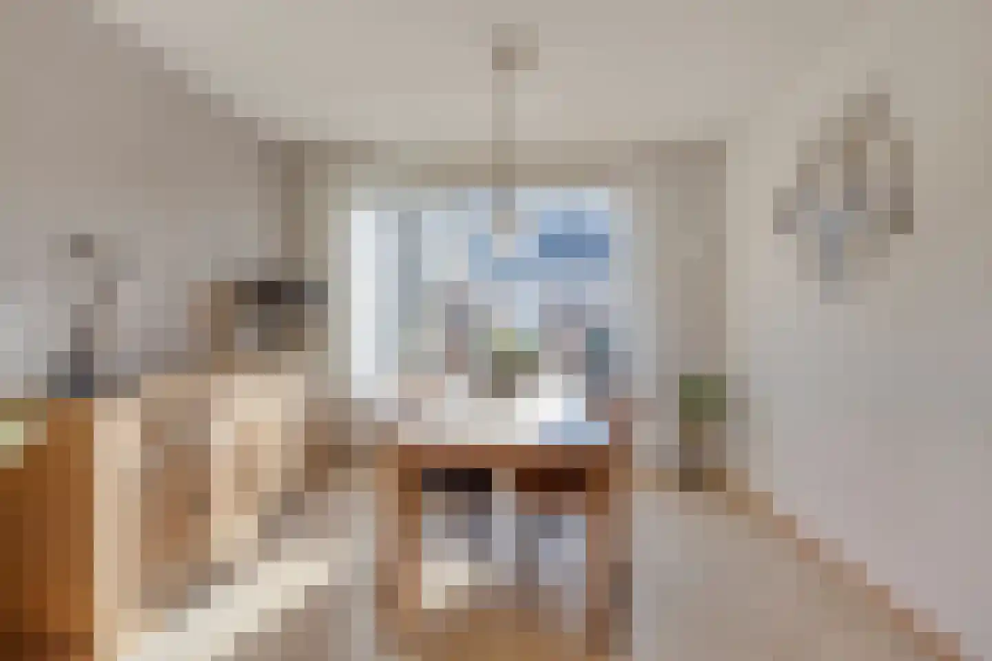 van Nesstraat 18 Dinteloord thumbnail 7