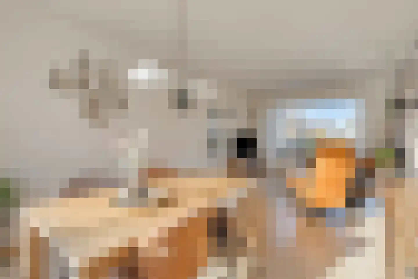 van Nesstraat 18 Dinteloord thumbnail 8