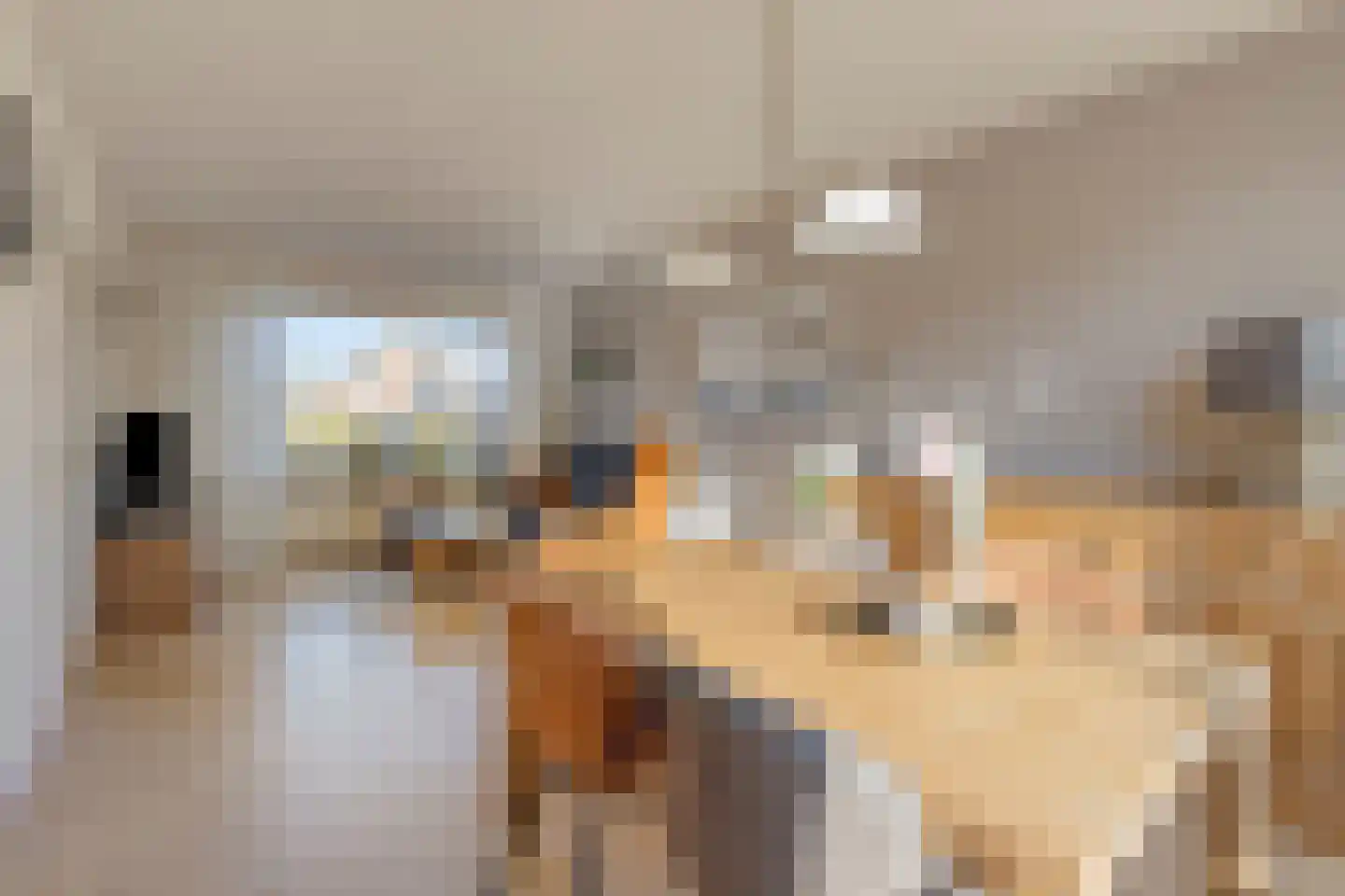 van Nesstraat 18 Dinteloord thumbnail 9