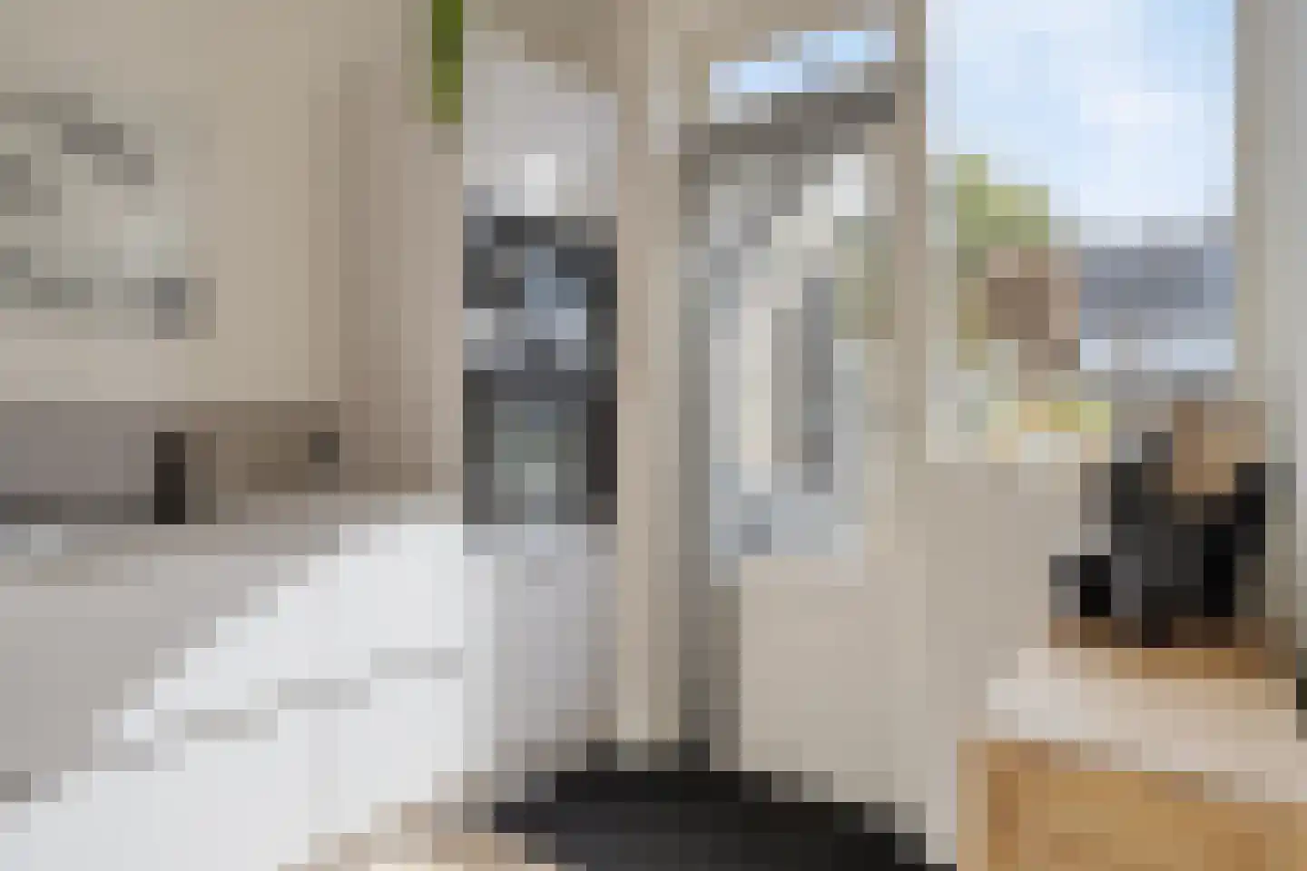 van Nesstraat 4 Dinteloord thumbnail 10