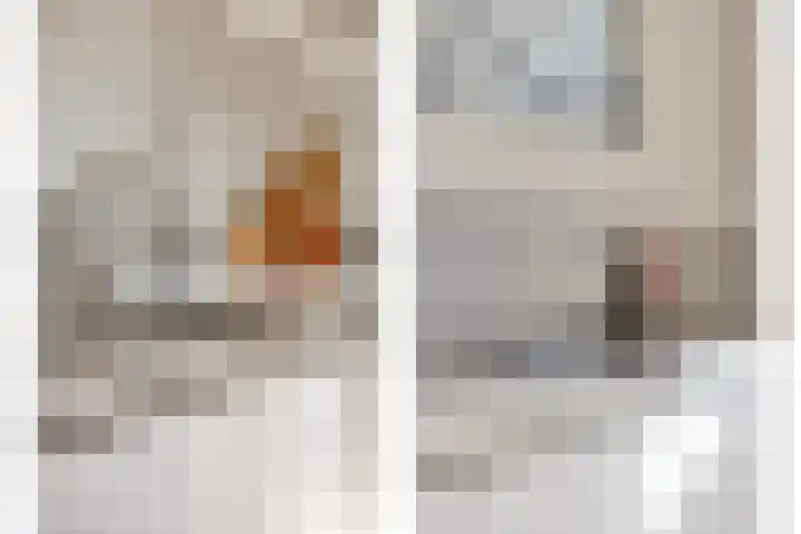 van Nesstraat 4 Dinteloord thumbnail 11