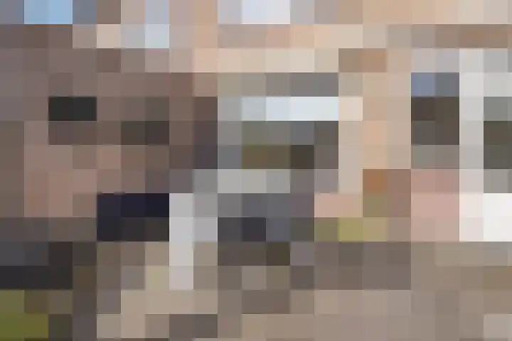 van Nesstraat 4 Dinteloord thumbnail 12