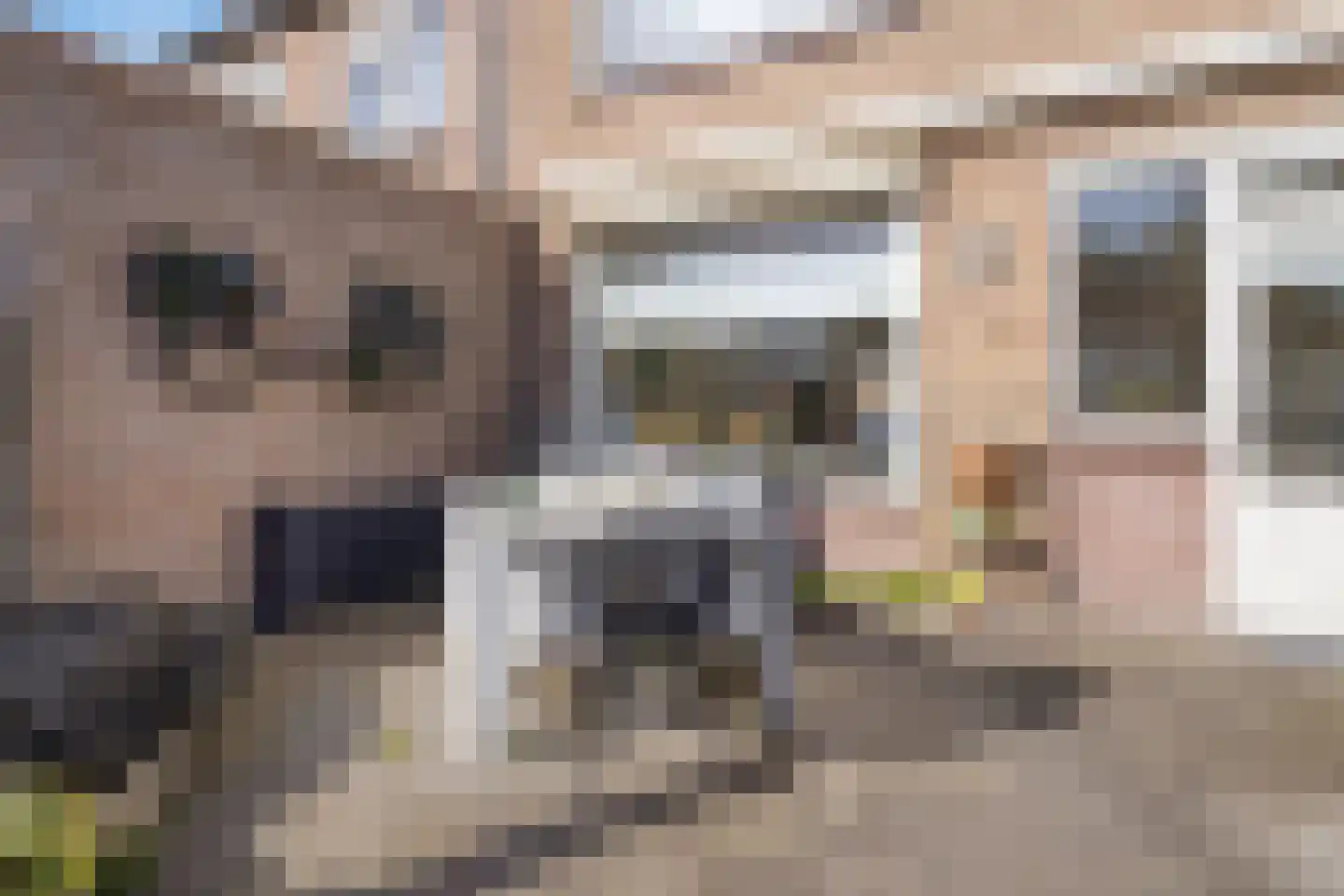 van Nesstraat 4 Dinteloord thumbnail 12