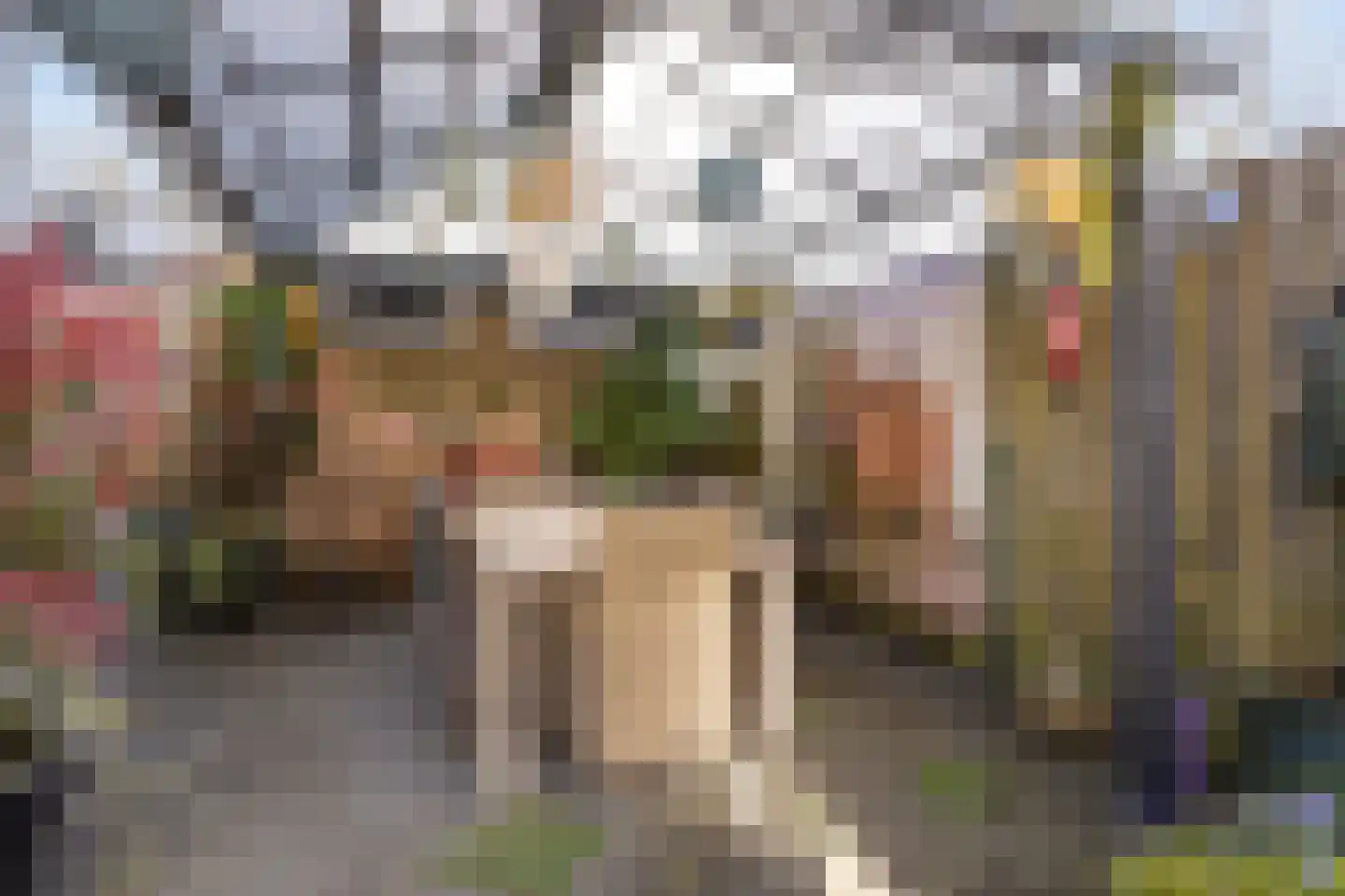 van Nesstraat 4 Dinteloord thumbnail 13