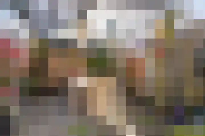 van Nesstraat 4 Dinteloord thumbnail 13