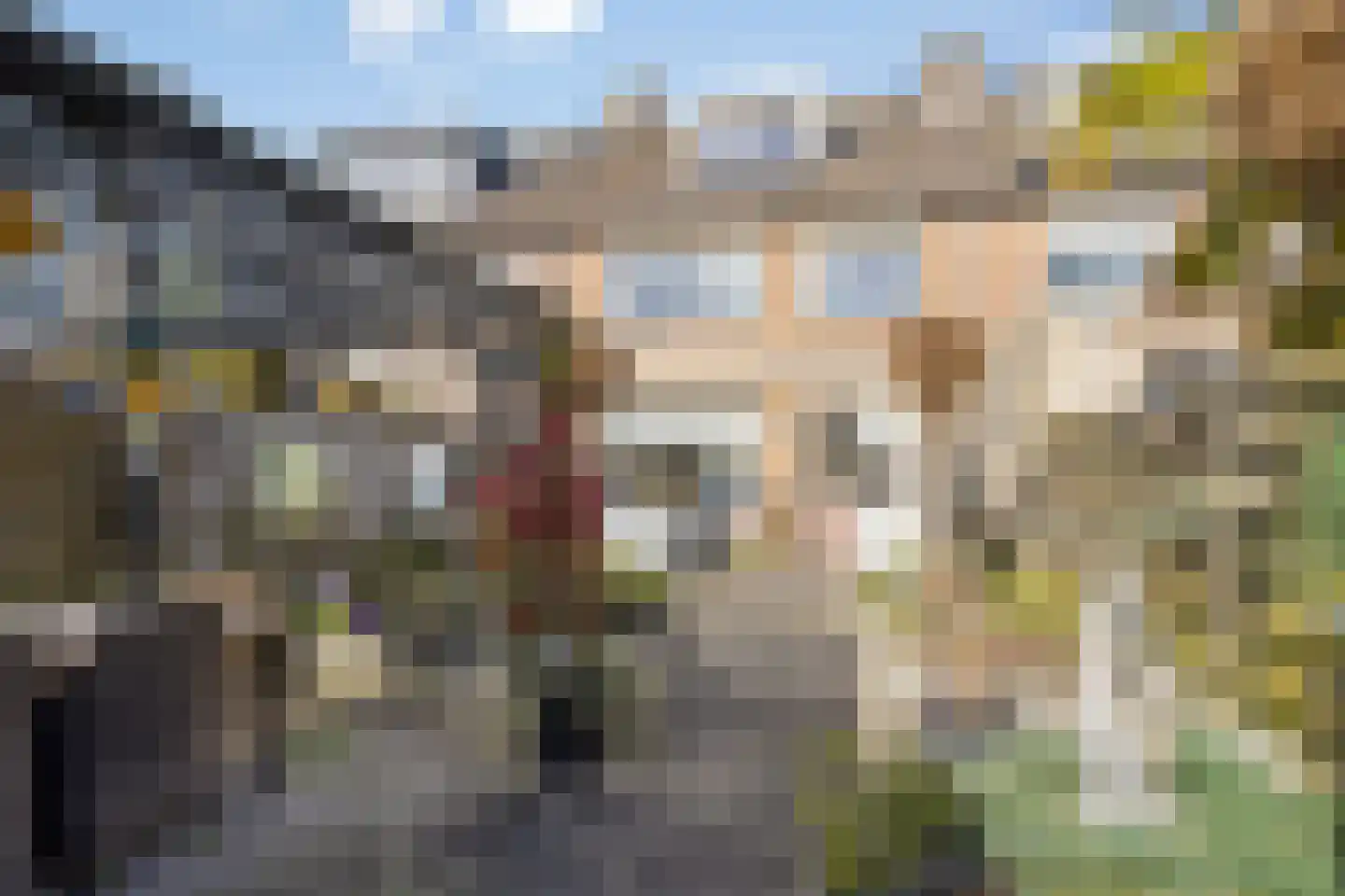 van Nesstraat 4 Dinteloord thumbnail 15