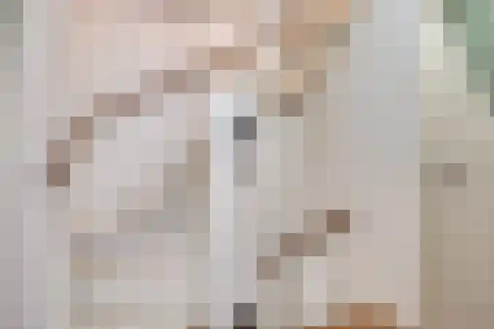 van Nesstraat 4 Dinteloord thumbnail 16