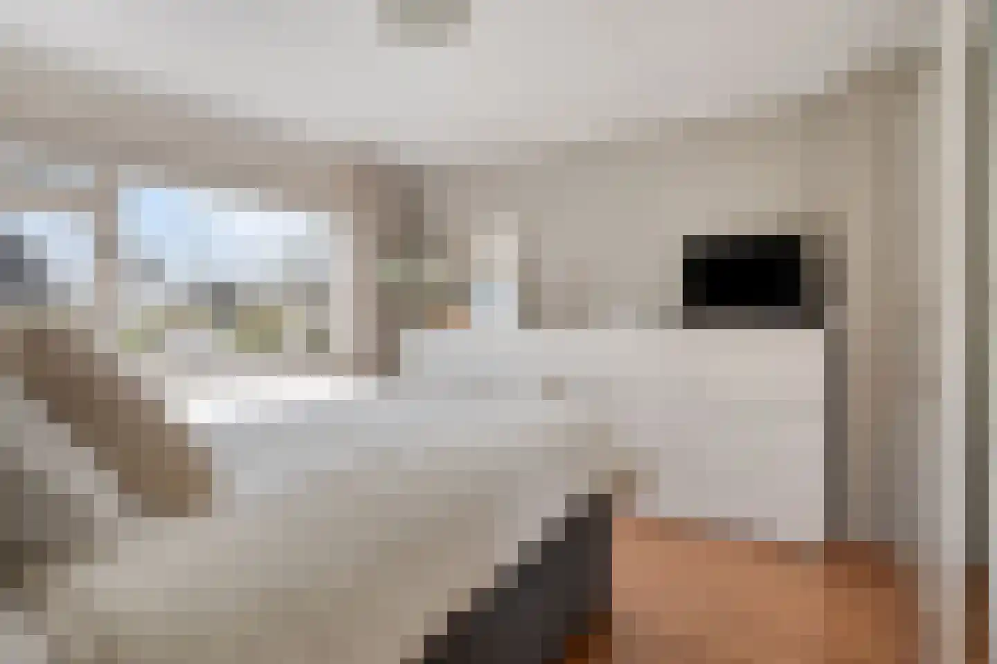 van Nesstraat 4 Dinteloord thumbnail 17