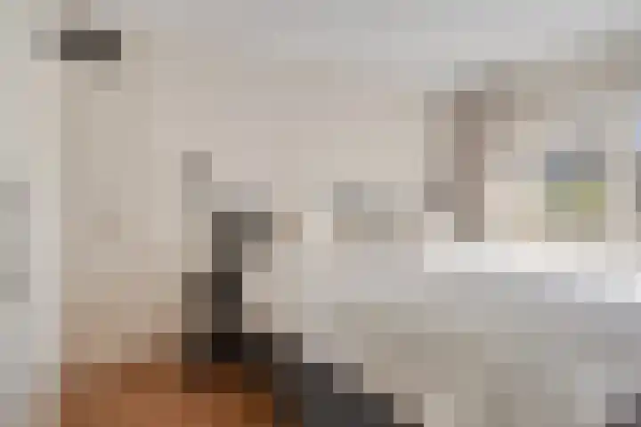 van Nesstraat 4 Dinteloord thumbnail 18