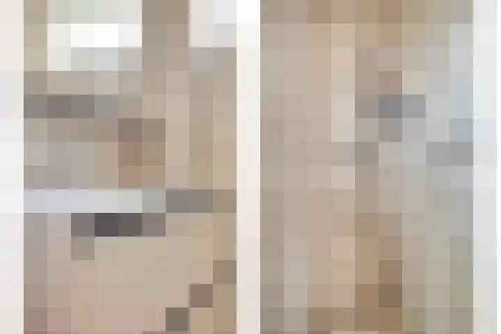 van Nesstraat 4 Dinteloord thumbnail 20