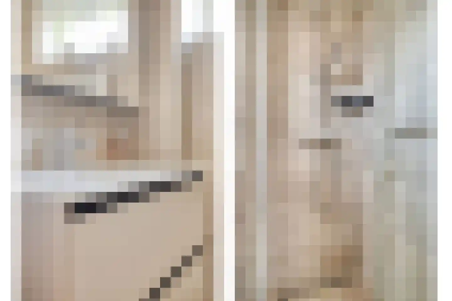 van Nesstraat 4 Dinteloord thumbnail 20