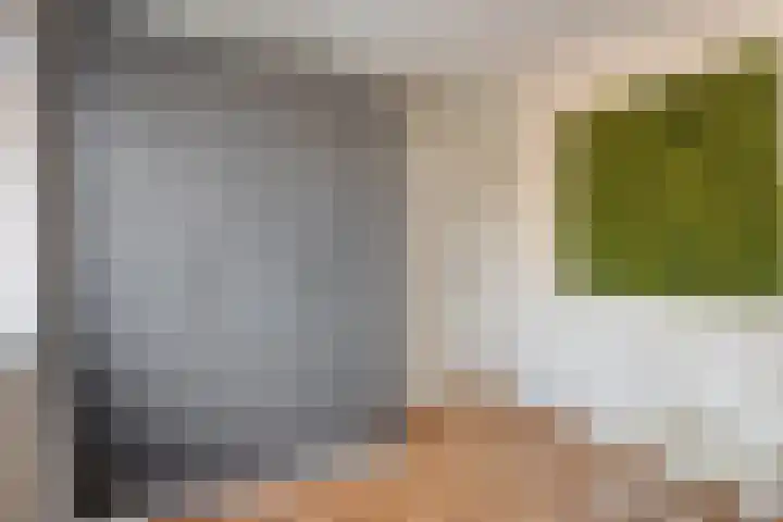 van Nesstraat 4 Dinteloord thumbnail 22