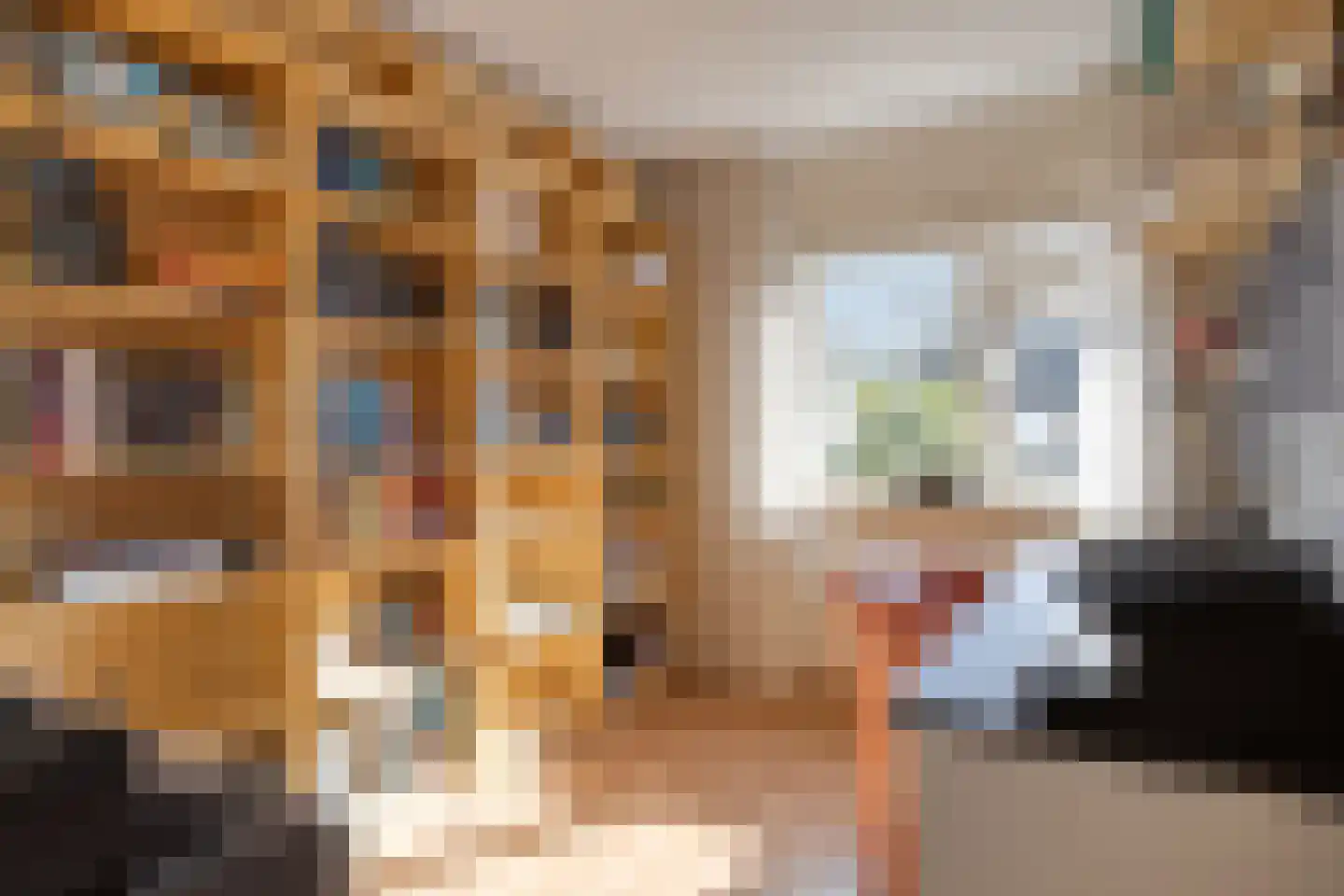 van Nesstraat 4 Dinteloord thumbnail 23