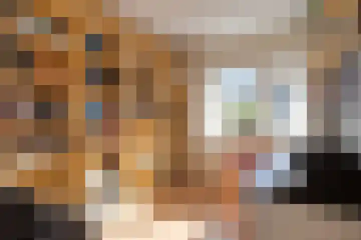 van Nesstraat 4 Dinteloord thumbnail 23