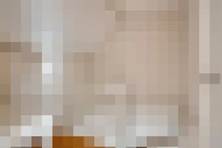 van Nesstraat 4 Dinteloord thumbnail 24