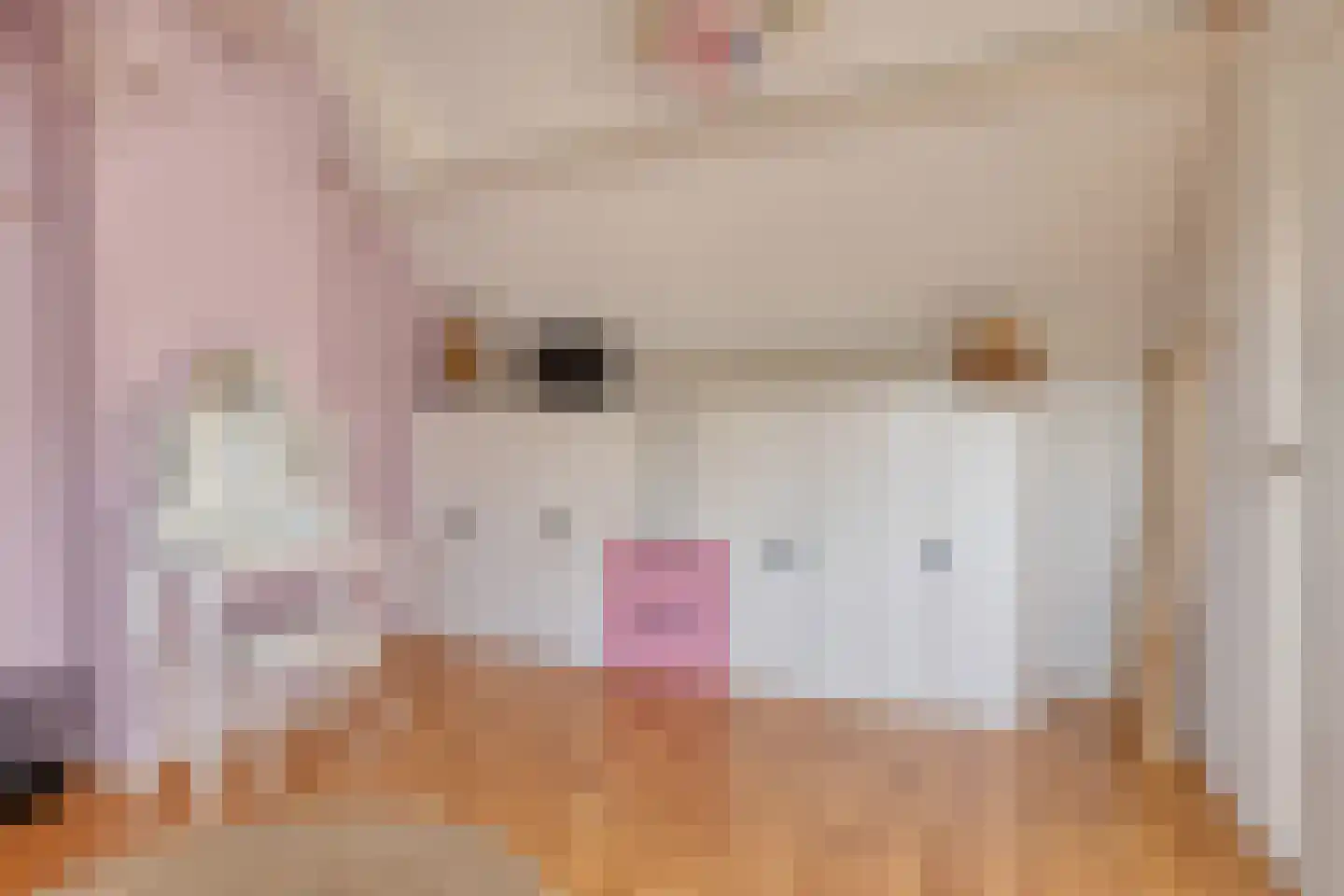 van Nesstraat 4 Dinteloord thumbnail 26