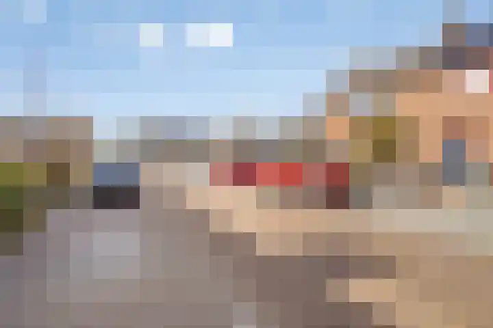van Nesstraat 4 Dinteloord thumbnail 28