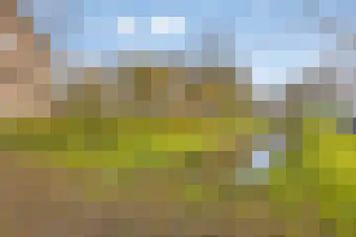 van Nesstraat 4 Dinteloord thumbnail 29