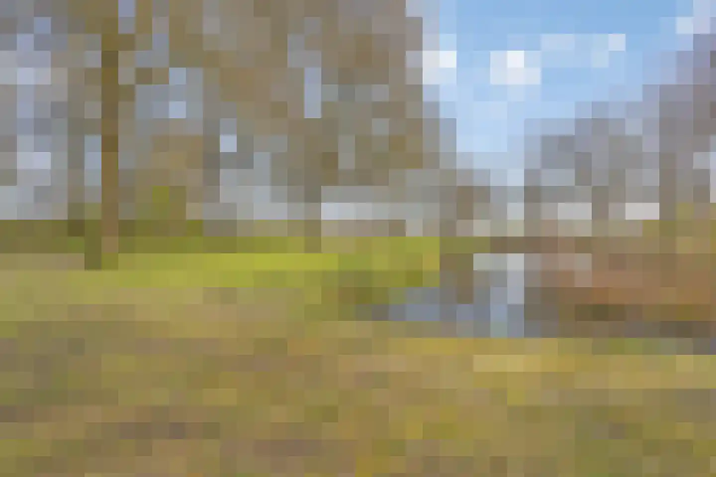 van Nesstraat 4 Dinteloord thumbnail 32