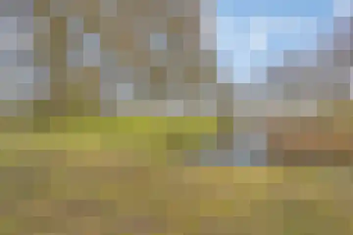 van Nesstraat 4 Dinteloord thumbnail 32