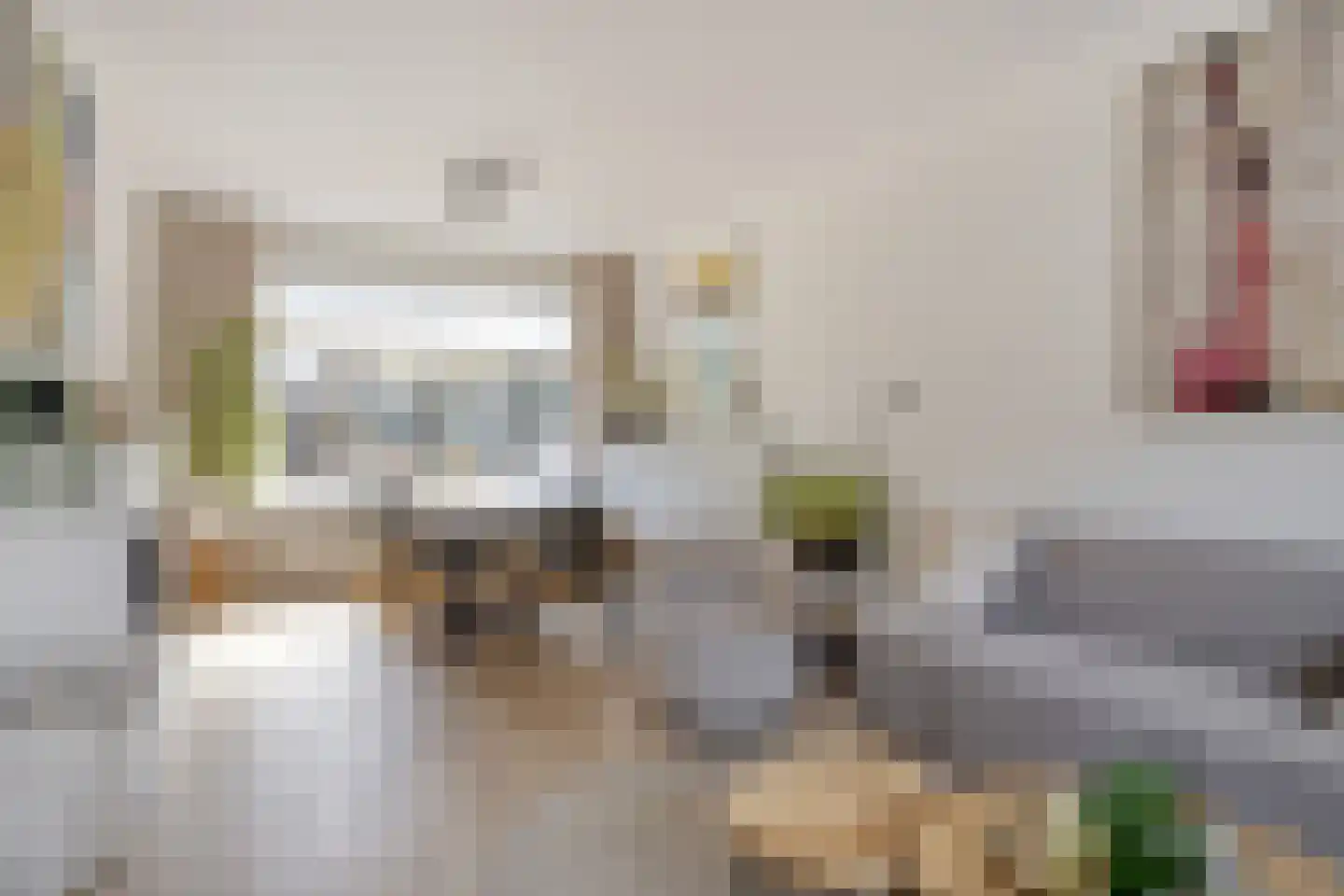van Nesstraat 4 Dinteloord thumbnail 4