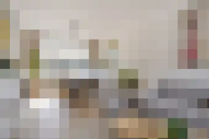 van Nesstraat 4 Dinteloord thumbnail 4