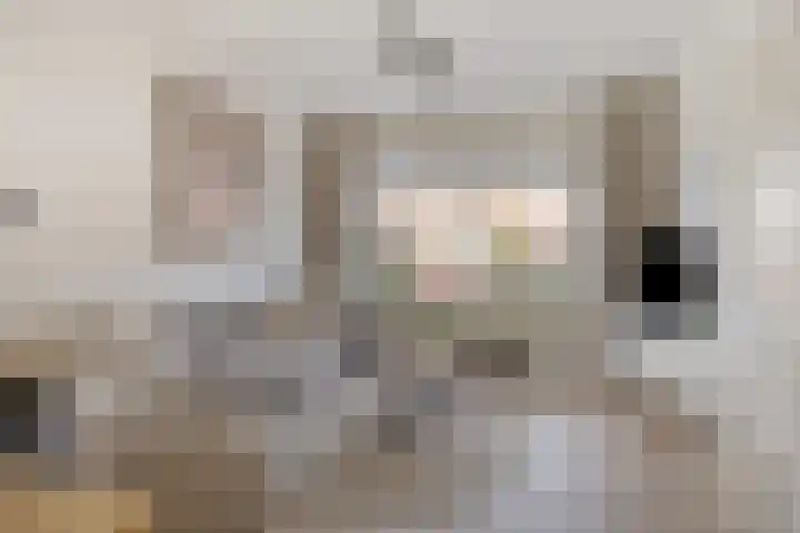 van Nesstraat 4 Dinteloord thumbnail 5