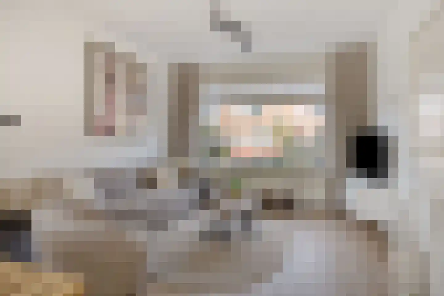 van Nesstraat 4 Dinteloord thumbnail 5