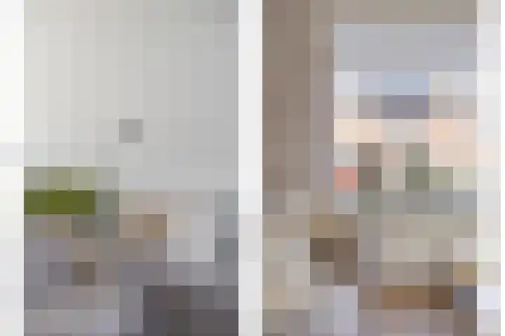 van Nesstraat 4 Dinteloord thumbnail 6