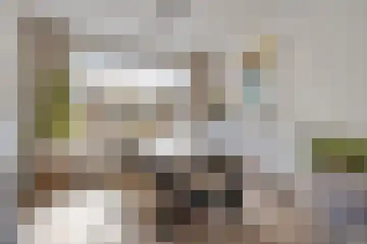 van Nesstraat 4 Dinteloord thumbnail 7