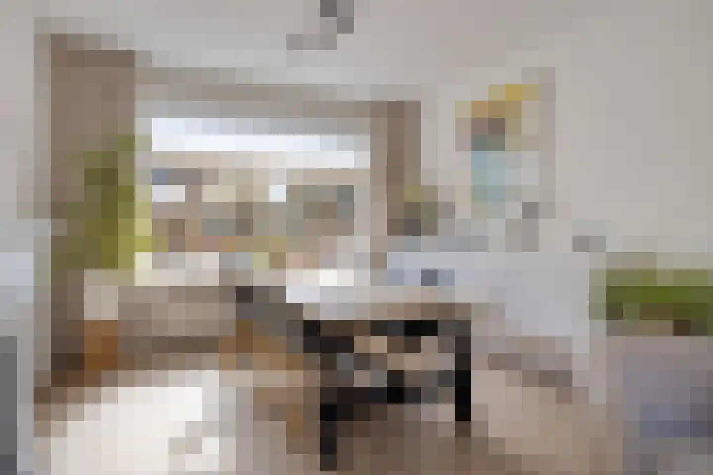 van Nesstraat 4 Dinteloord thumbnail 7