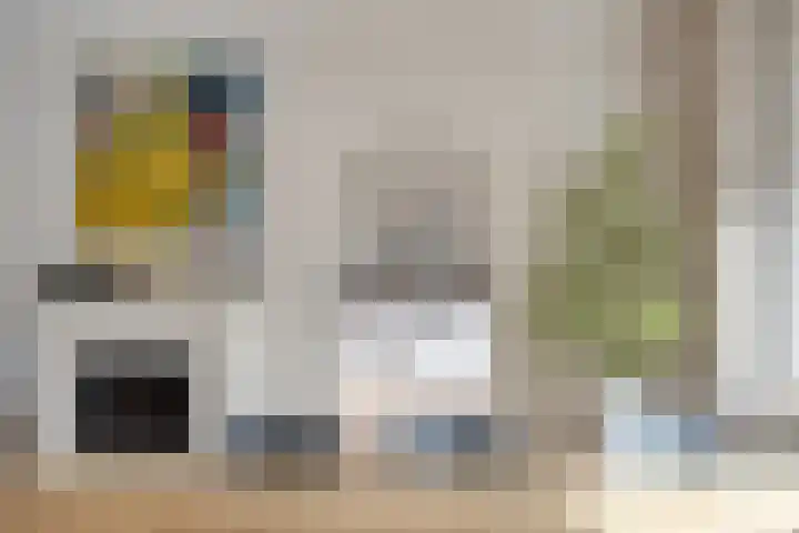 van Nesstraat 4 Dinteloord thumbnail 8