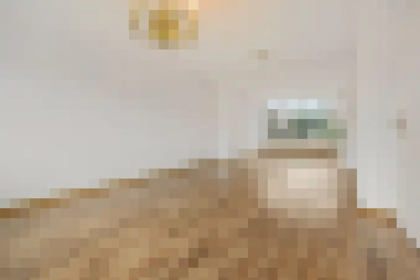 Van Nesstraat 5 Oss thumbnail 12